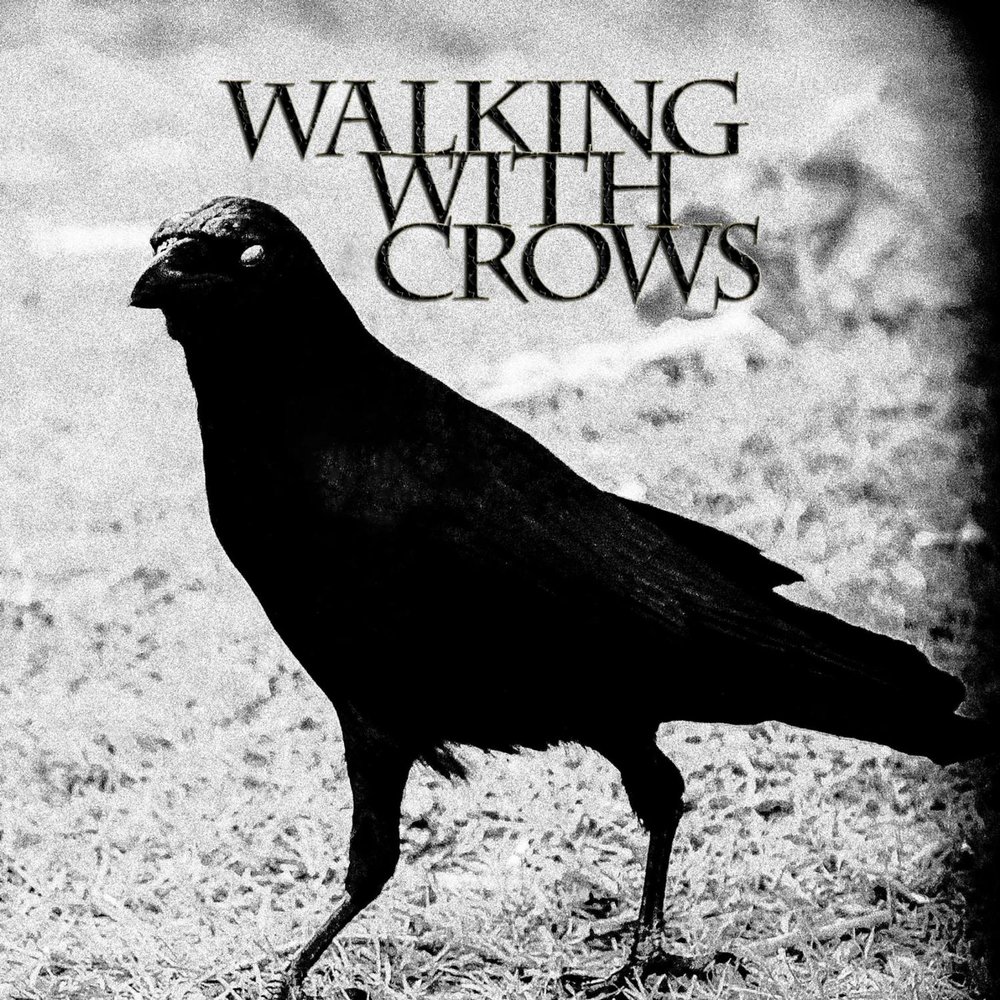 Crow listen. Green Crow альбомы обложки. The Lost Kingdom of Crows. Вороны музыка.