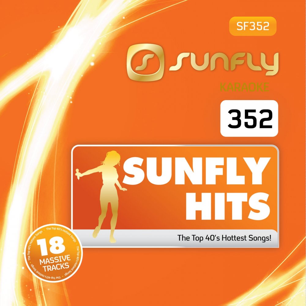 summer of 69 karaoke sun fly torrent