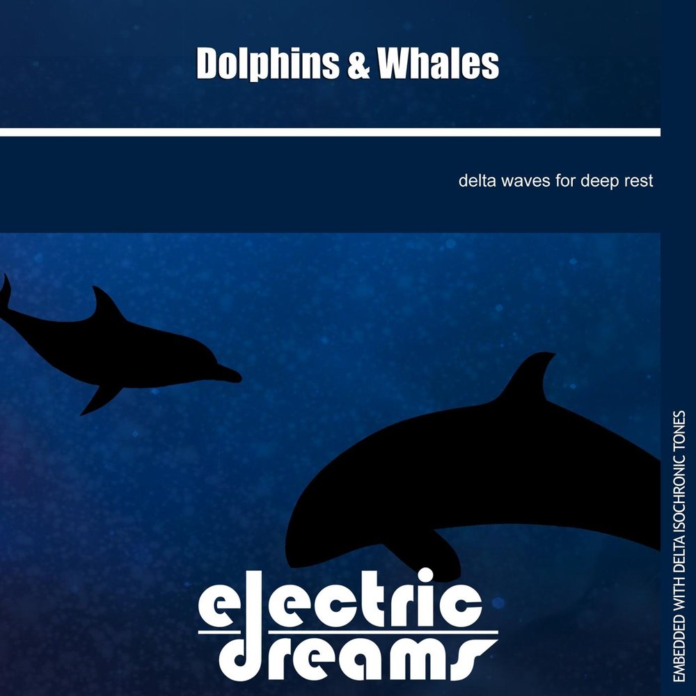 Dolphin Dreams. Синий Дельфин песня. Dolphin песня. Goodbye Dolphin Dreams.