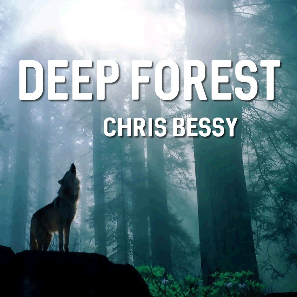дип форест обложки альбомов. Deep forest evo devo. Deep forest - evo devo (evolution. Deep forest лучший альбом. дип форест.