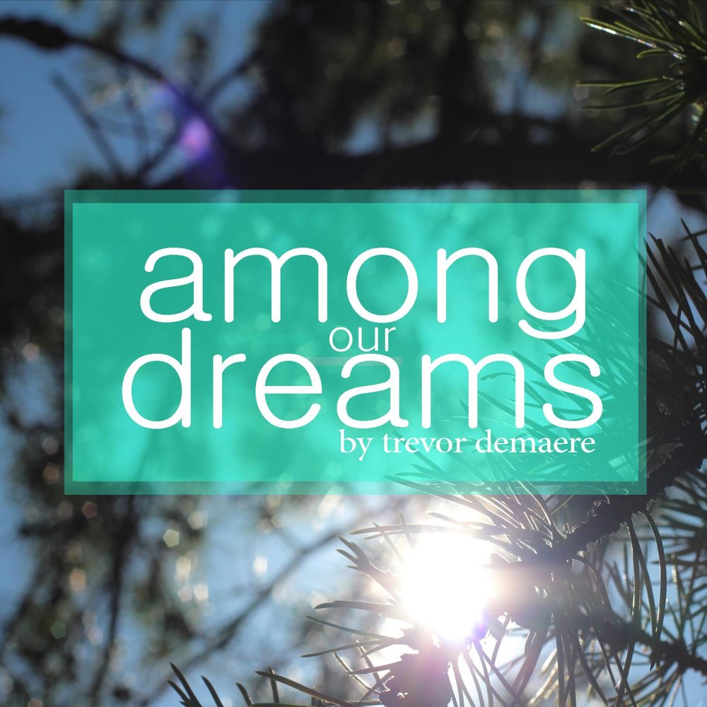 Among песня. Our Dream. Надпись among Dreams. Trevor DEMAERE Bleseed Earth. Record our Dreams.