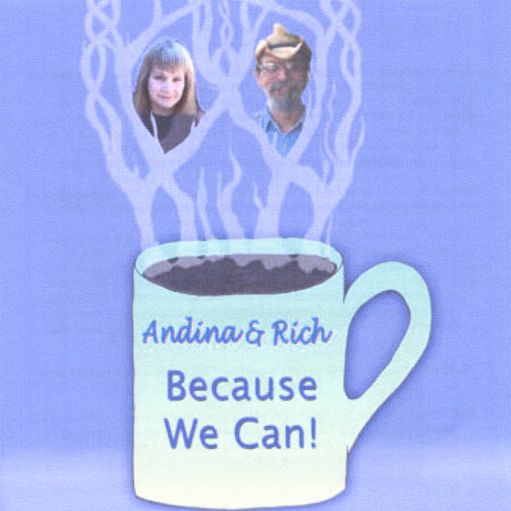 Because we can a. Because we can a