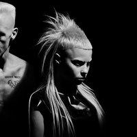 скачать все песни die antwoord