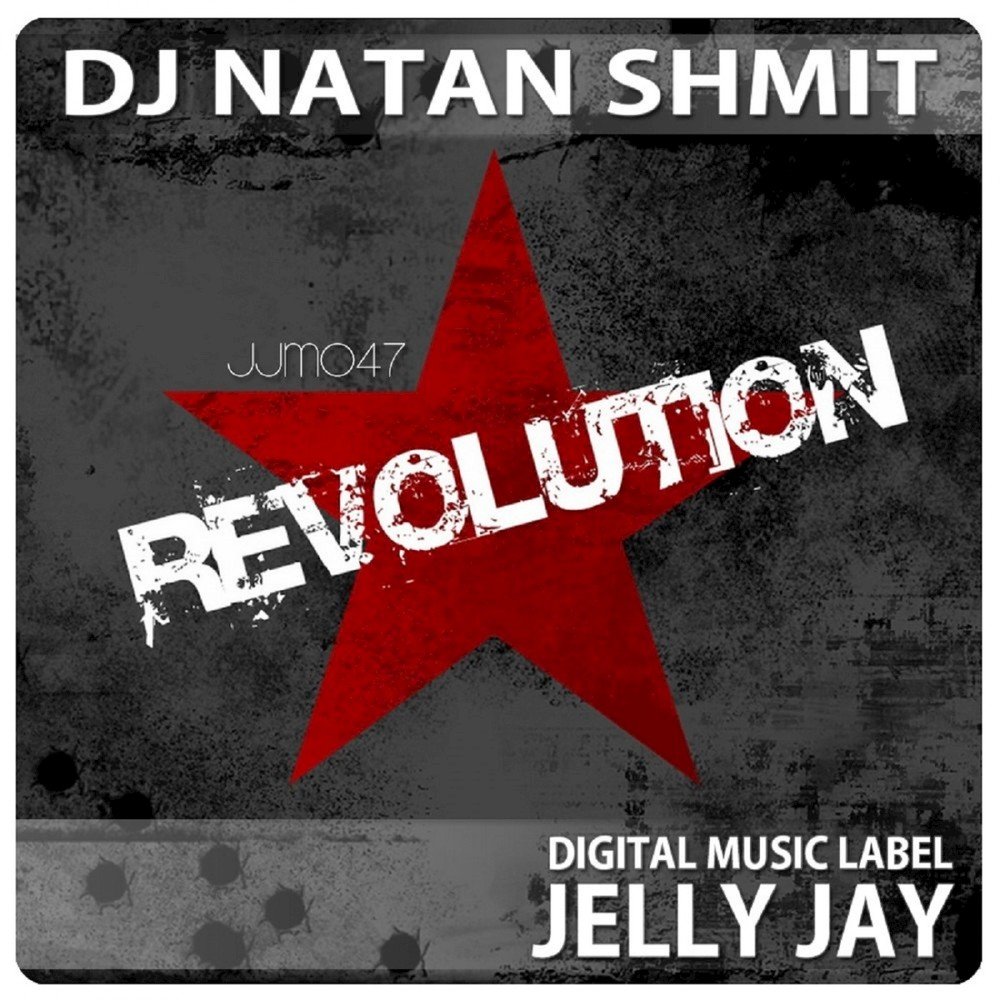 Revolution музыка. DJ песня революция. Revolution Music DJ. Shmit. Memory Rag Shmits.
