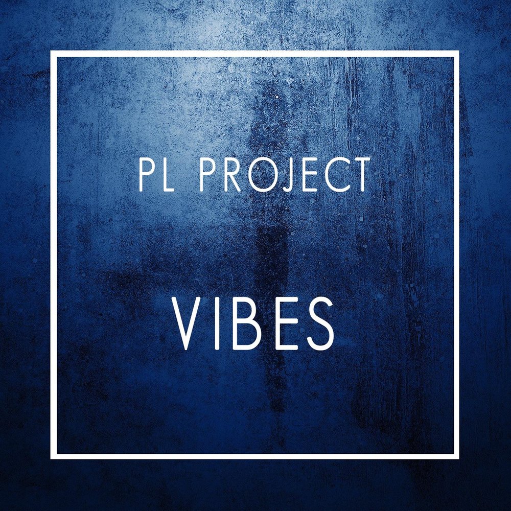 Pl project. Vibe project. programming vibe.