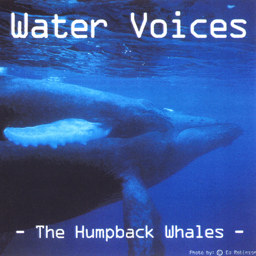 Water voice. Вода Voice. Su Voices.