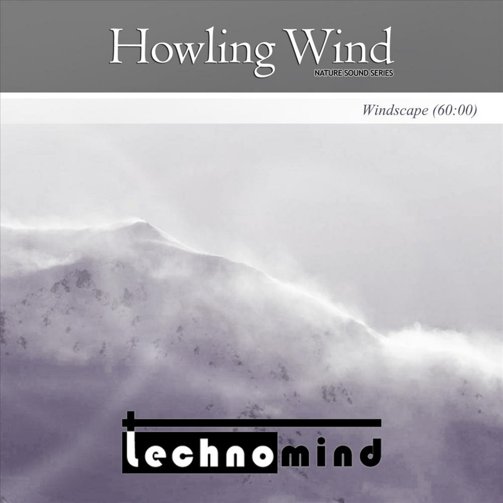 Звук ветра слушать. Howling Wind. Wind Sound. Howl Wind. The Wind is Howling.