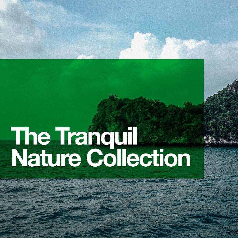 Nature collection