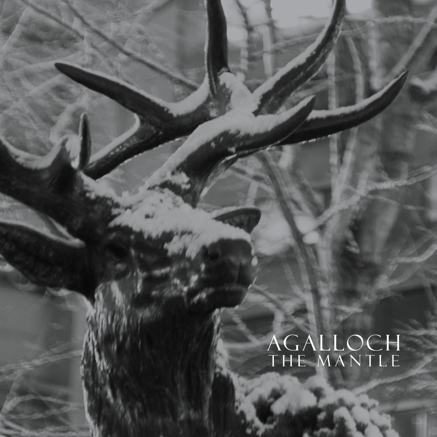 Agalloch