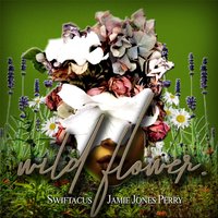 artist-cover