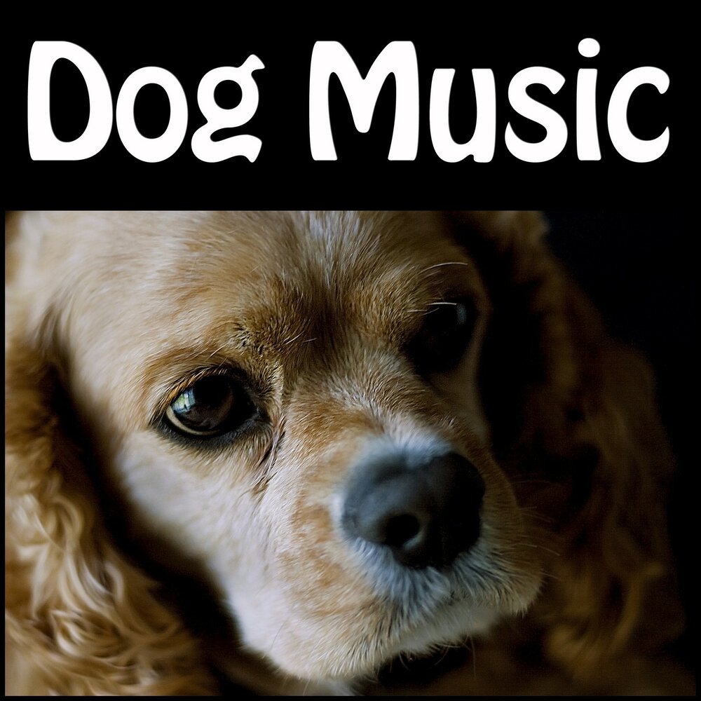 Dog music