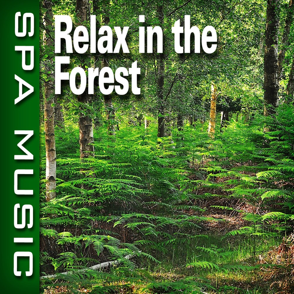 Лесная музыка слушать. Relax Music Forest.