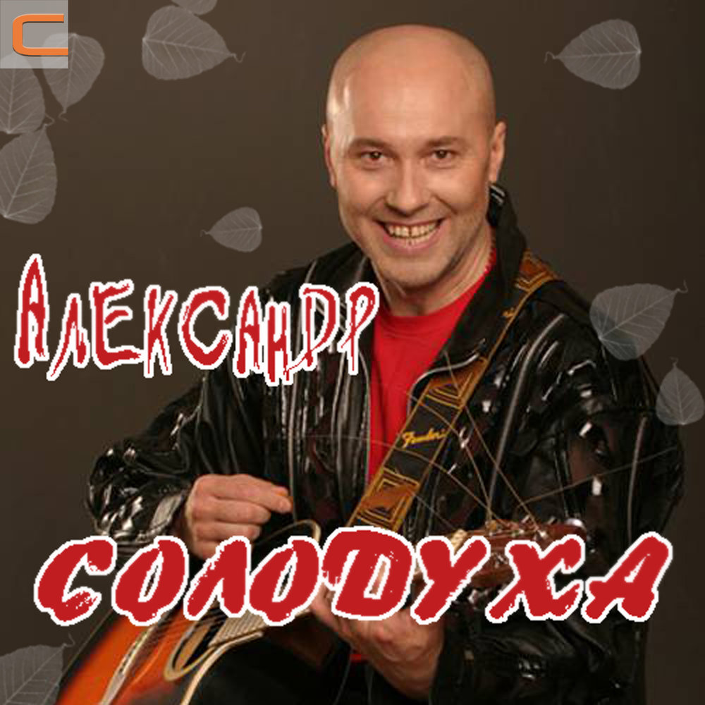 песня солодуха здравствуй чужая милая