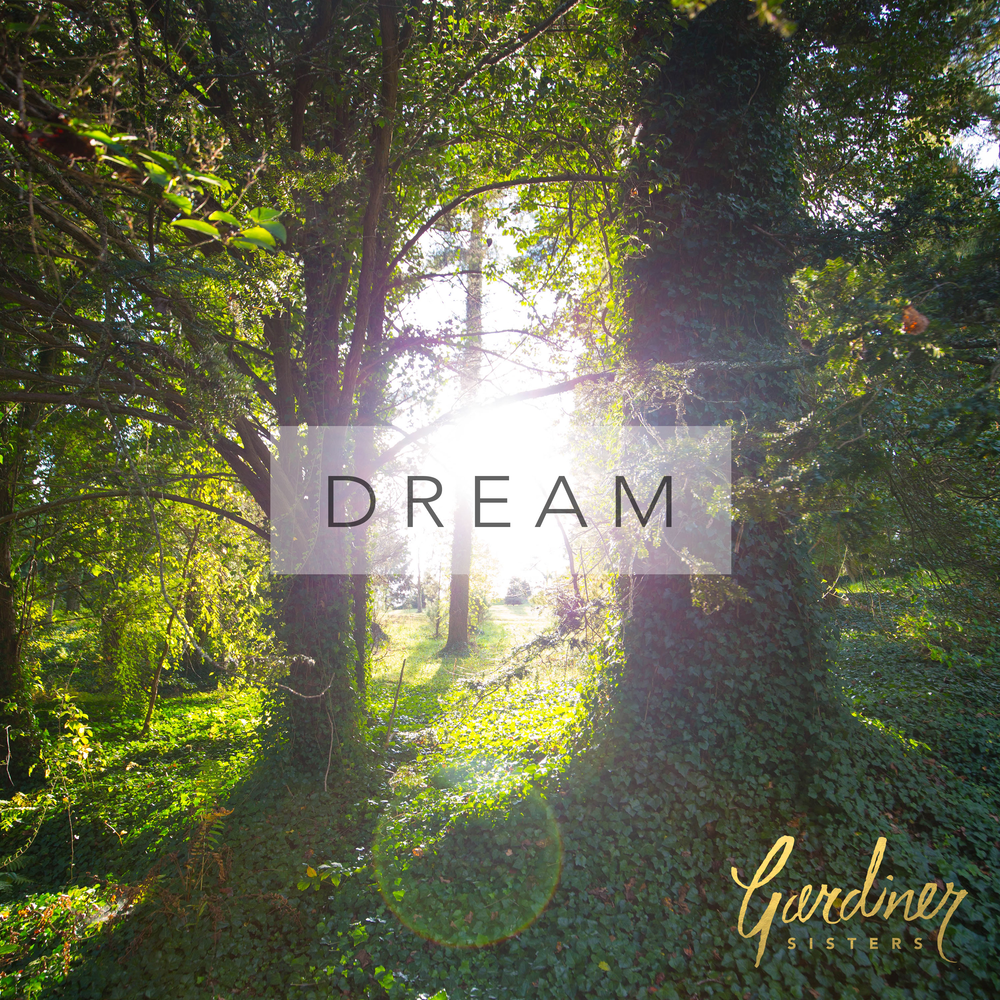Sis dreams. Runner game. Summer sisters. Dream is destiny song. Sis dreams.