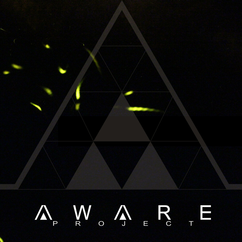 Aware project. Project aware. Dim Listening.