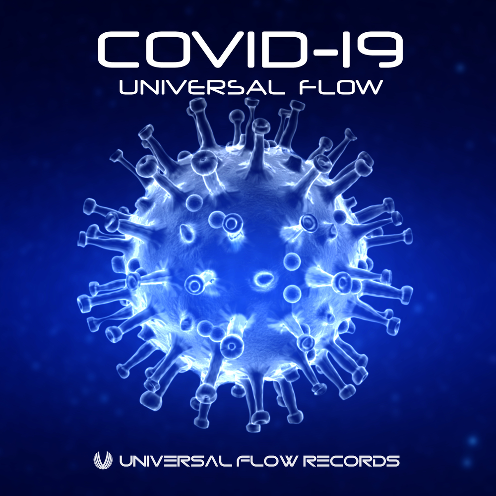 Flow records. Universal Flow.