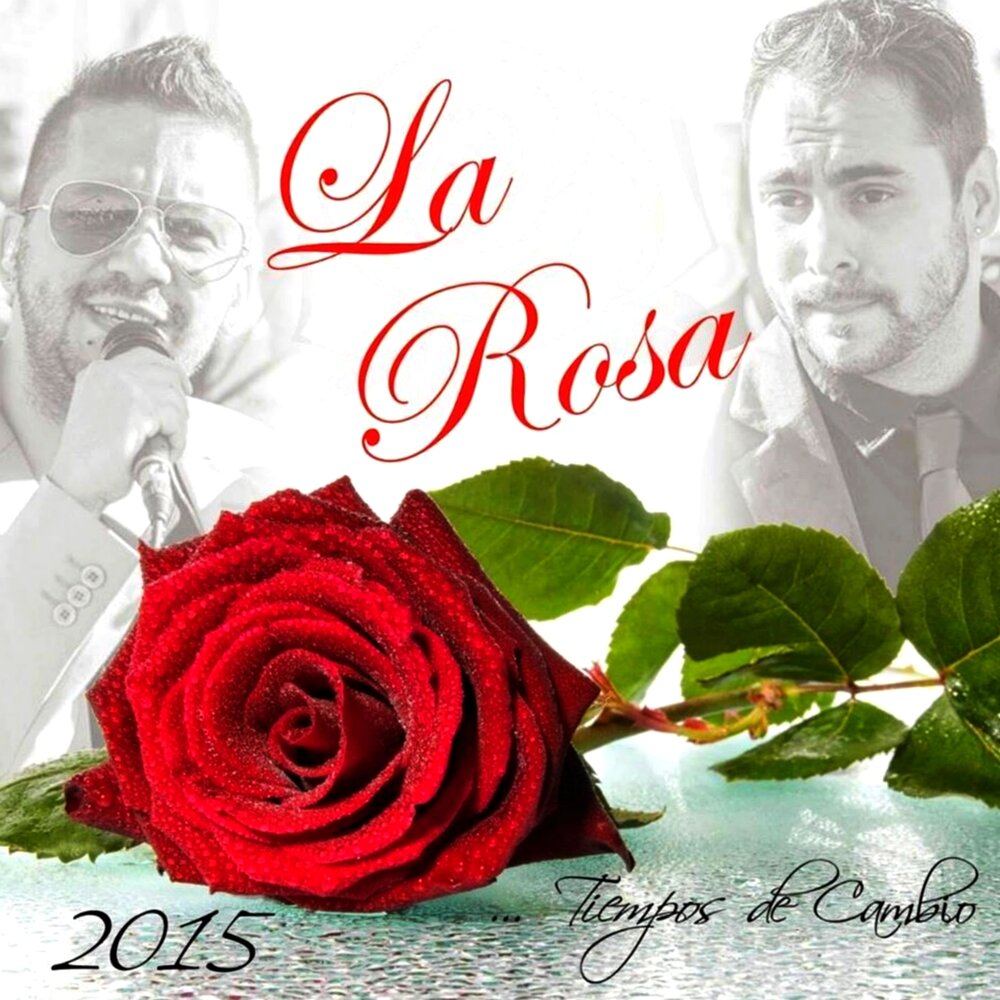 La rosa. La Rosa песня. TM la Rosa.