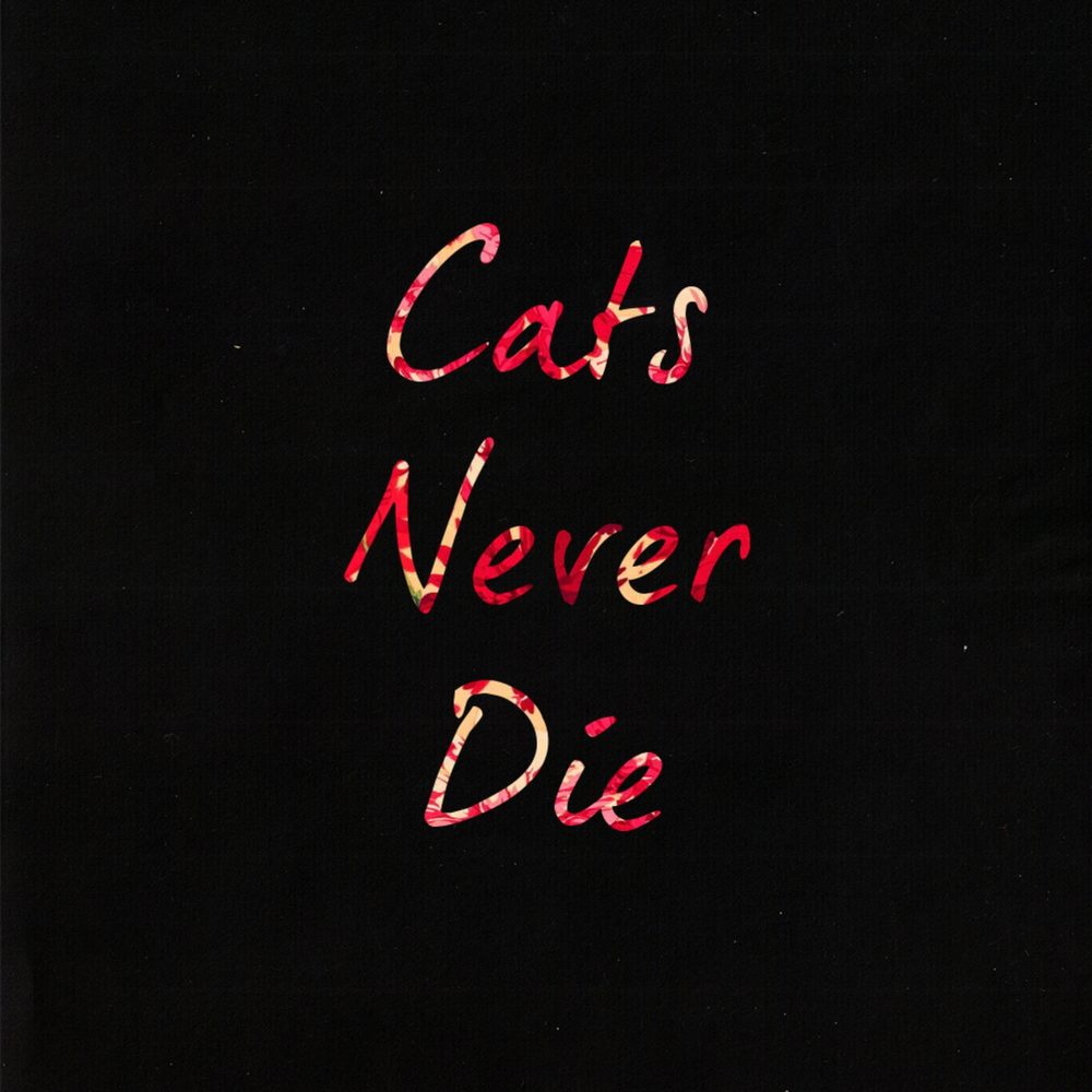 Cats never die. Альбом i never die. I never die обложка альбома. Never die певец.