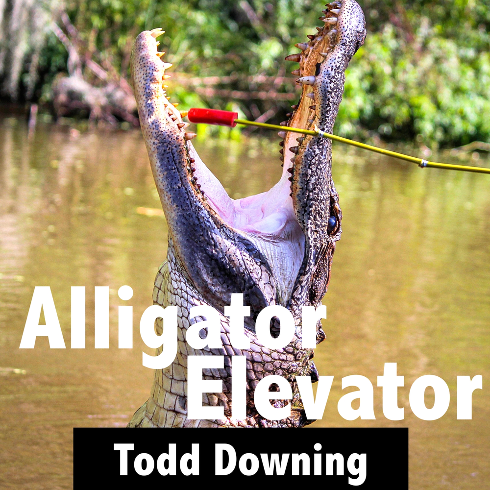 Music Alligator. Todd Song. Music Alligator отзывы.