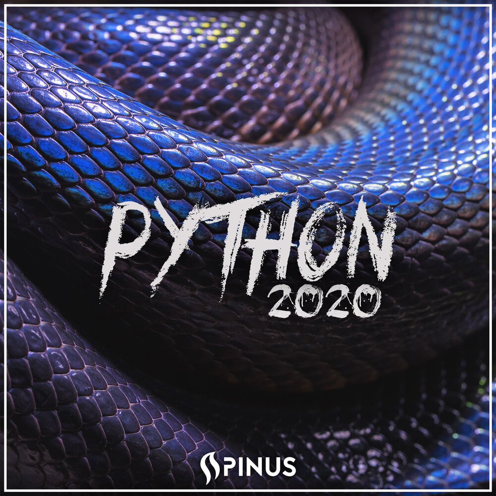 Удав песни. Python 2020. Питон музыка. Сборник питон музыкальный.