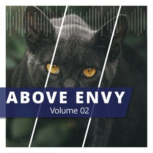 Above Envy - Avicii Dance