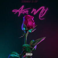 artist-cover