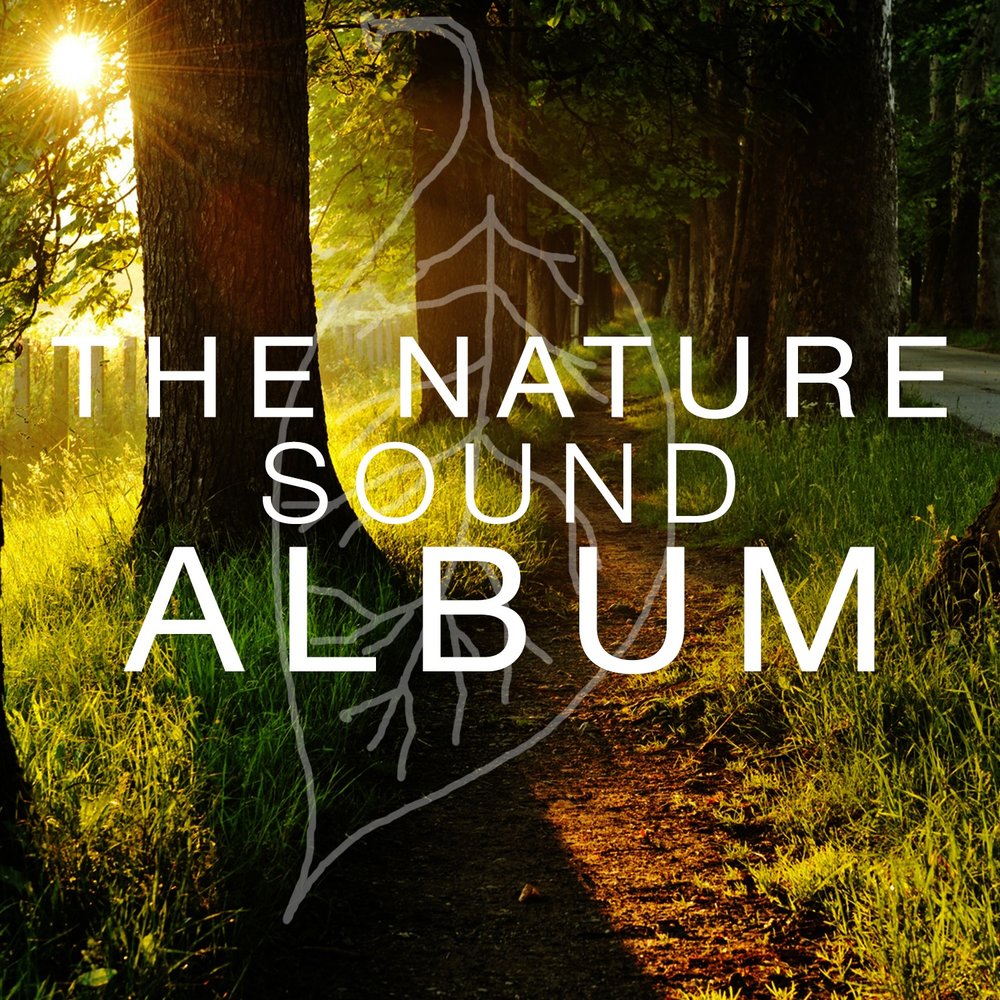 Nature album. Sounds of nature. Natural Sounds. Nature by nature группа логотип. Минусовка природа