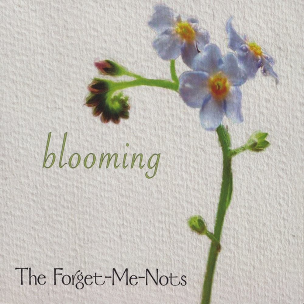 Forget me nots дизайнер Angela Pullen. Forget me nots. What-nots. Ethimology of Flower name forget-me-not.