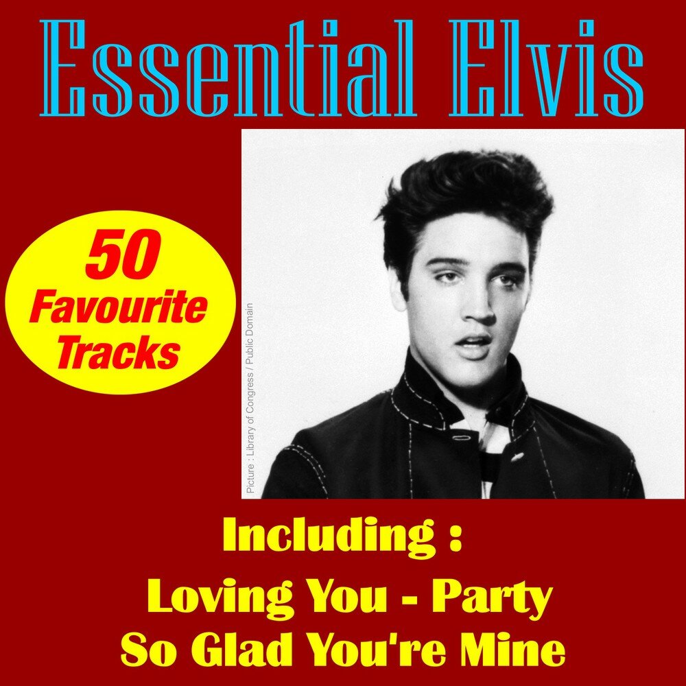 Слушать ю донт. Элвис Пресли Heartbreak Hotel. Don't be cruel Elvis. 1979 - Elvis Love Songs. The Essential Elvis Presley a little less conversation.