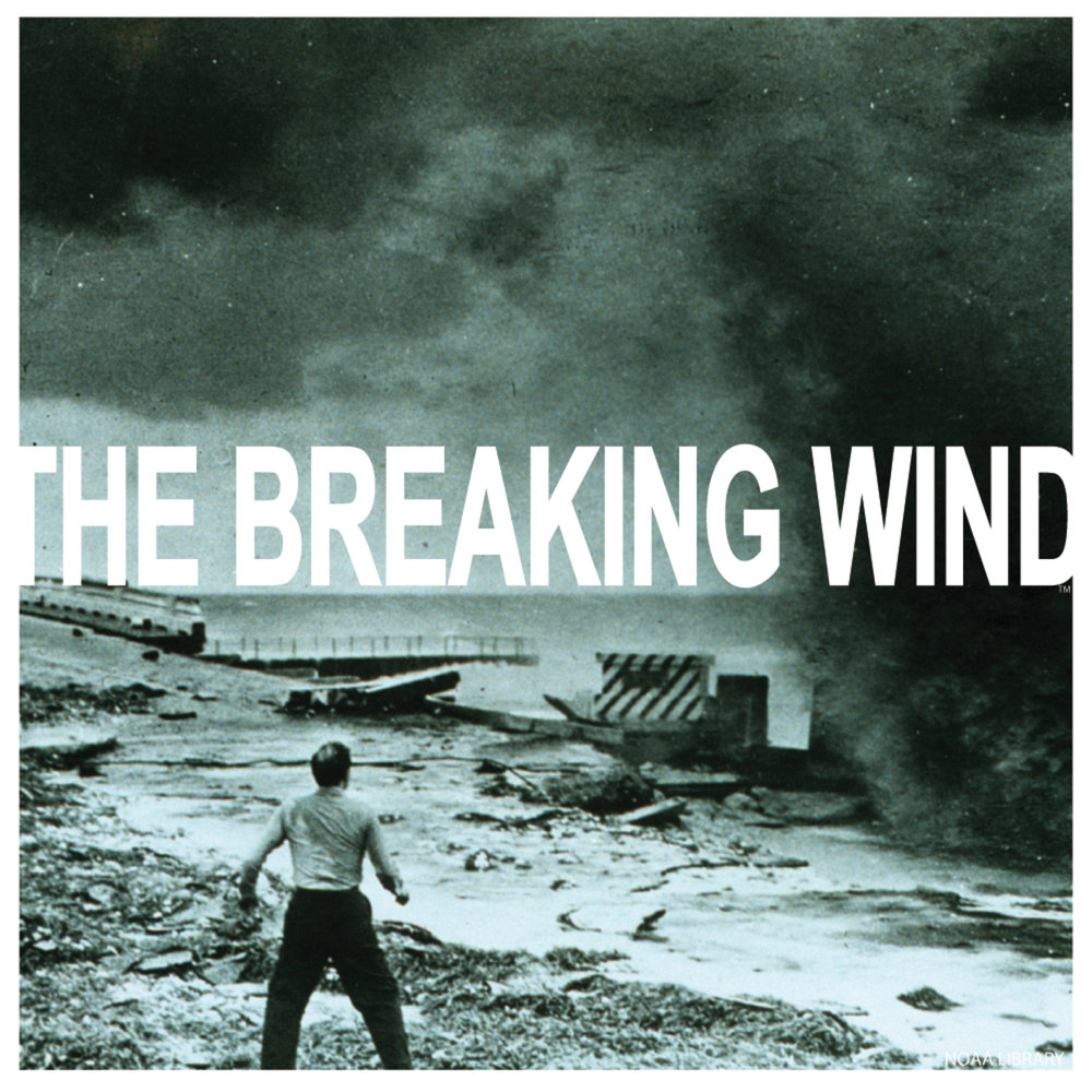 Вампиранутые фильм. Broke wind. Meaning break wind. Кенн наварро в студии mondo media. Broke wind.