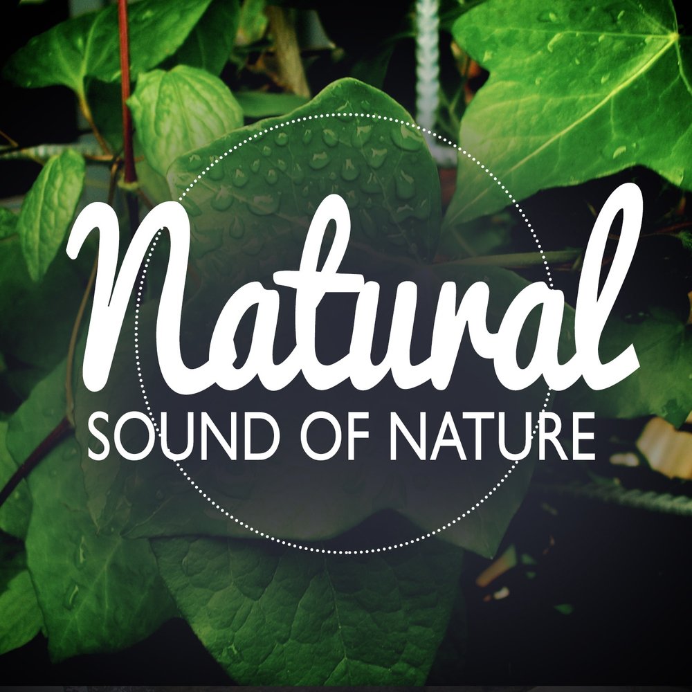 Nature song. Sounds of nature.
