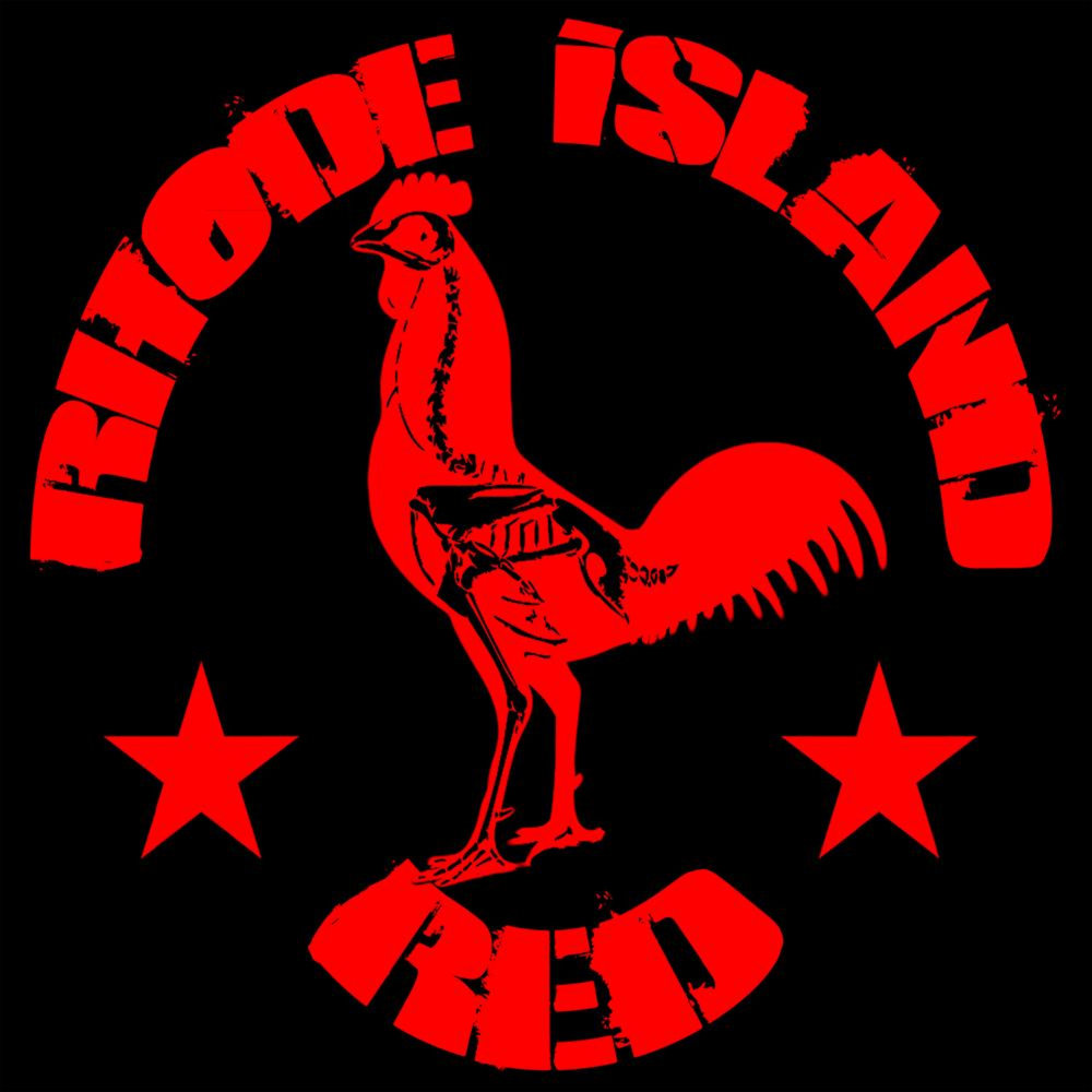 Ri red. Ред Айленд. Rhode Island Red. Ред Айленд Волкова. Sweet Rhode Island Red Ike Tina.