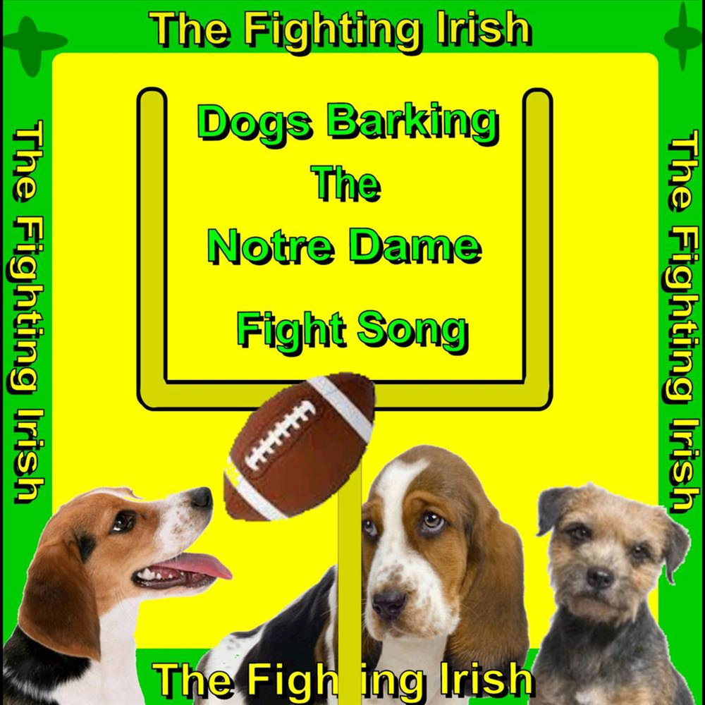 Песня dogs dogs how. Irish Dogs. Barking Dogs seldom bite русский эквивалент. Песня Dog. Barking Dogs Music.