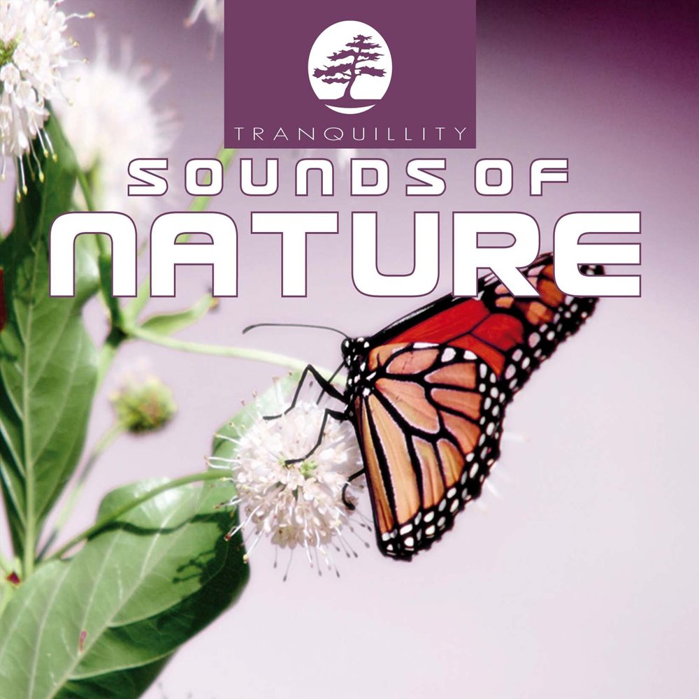 Ambient sound 4. Levantis альбомы. Ambient Sounds. Levantis & friends - Gypsy Air обложка. Sounds of nature.