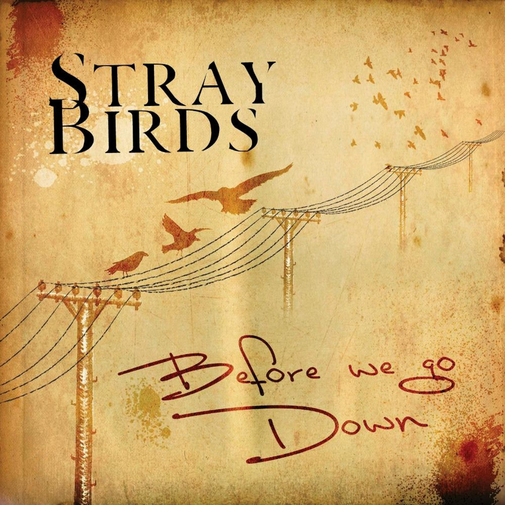 Stray Birds. The Stray Birds Кантри. Down Stray. Песня Bird.