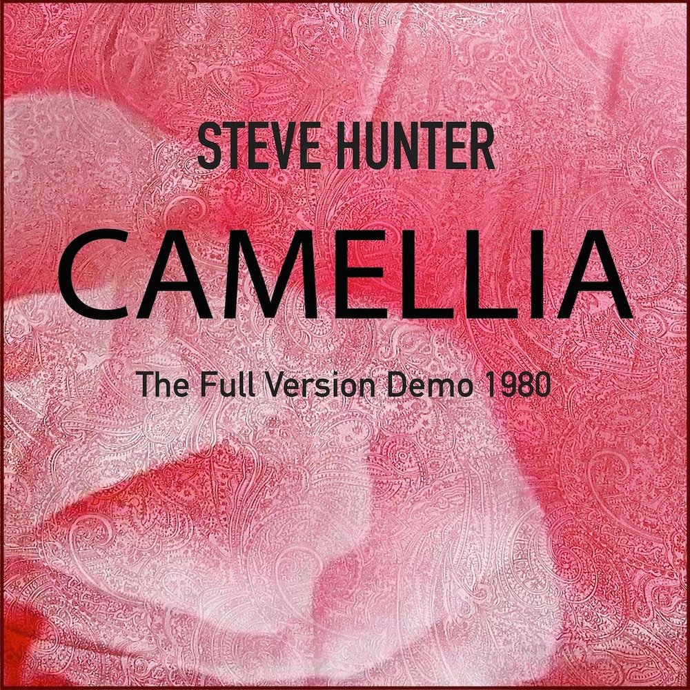 Камелия слушать. Camellia Music. Camellia album. Camellia песня. Камелия Хантер модель.