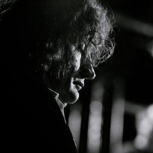 Владимир Волков