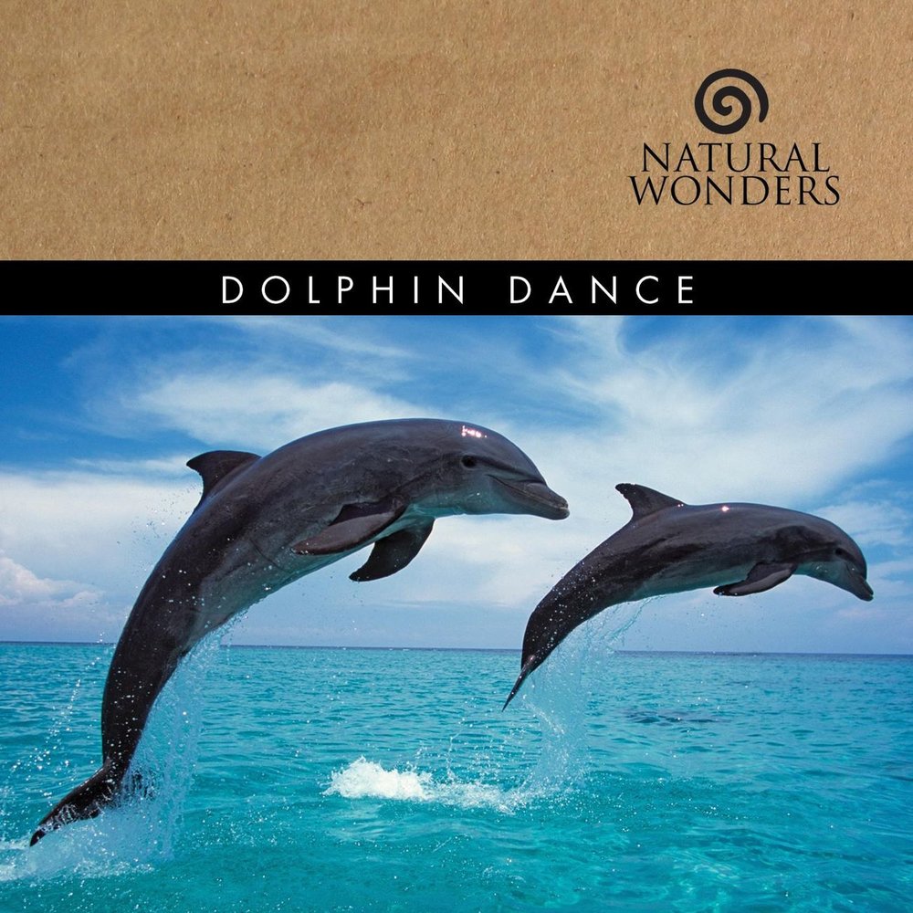 Песня танец дельфинов