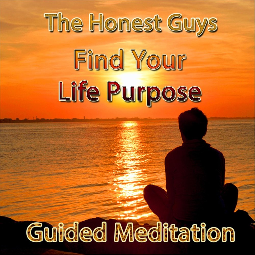 Purpose of life is. Life purpose. Honest in Life. Finding your Life s purpose. Guys i honesty.