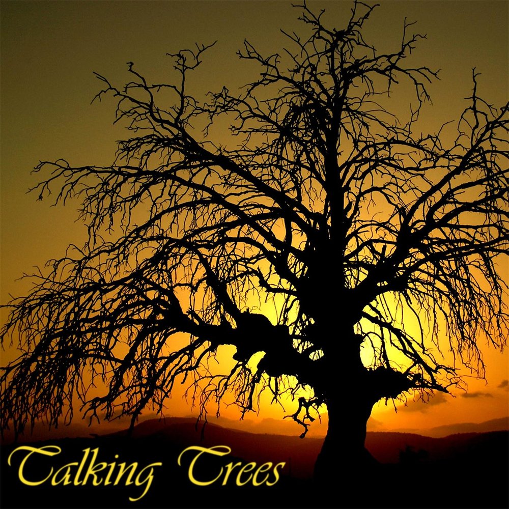 Песня trees. Tree Talker. Песня про дерево. Слушать дерево. Музыка большое дерево.