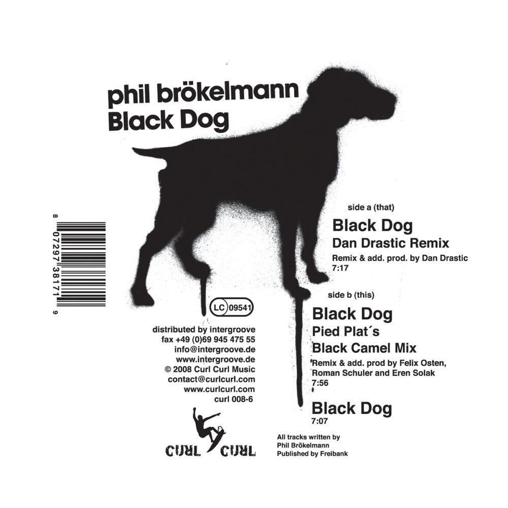 Black Dog текст. A Black Dog идиома. Black Dog перевод. Чёрная собака песня.