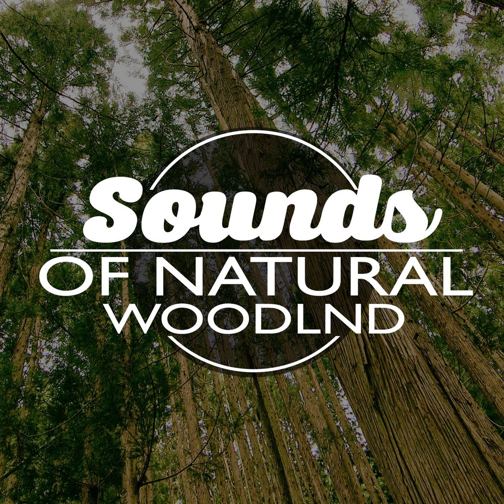 Natural Sounds. Sounds of nature. Besties nature Sounds collection. Natural Life. Life is a nature