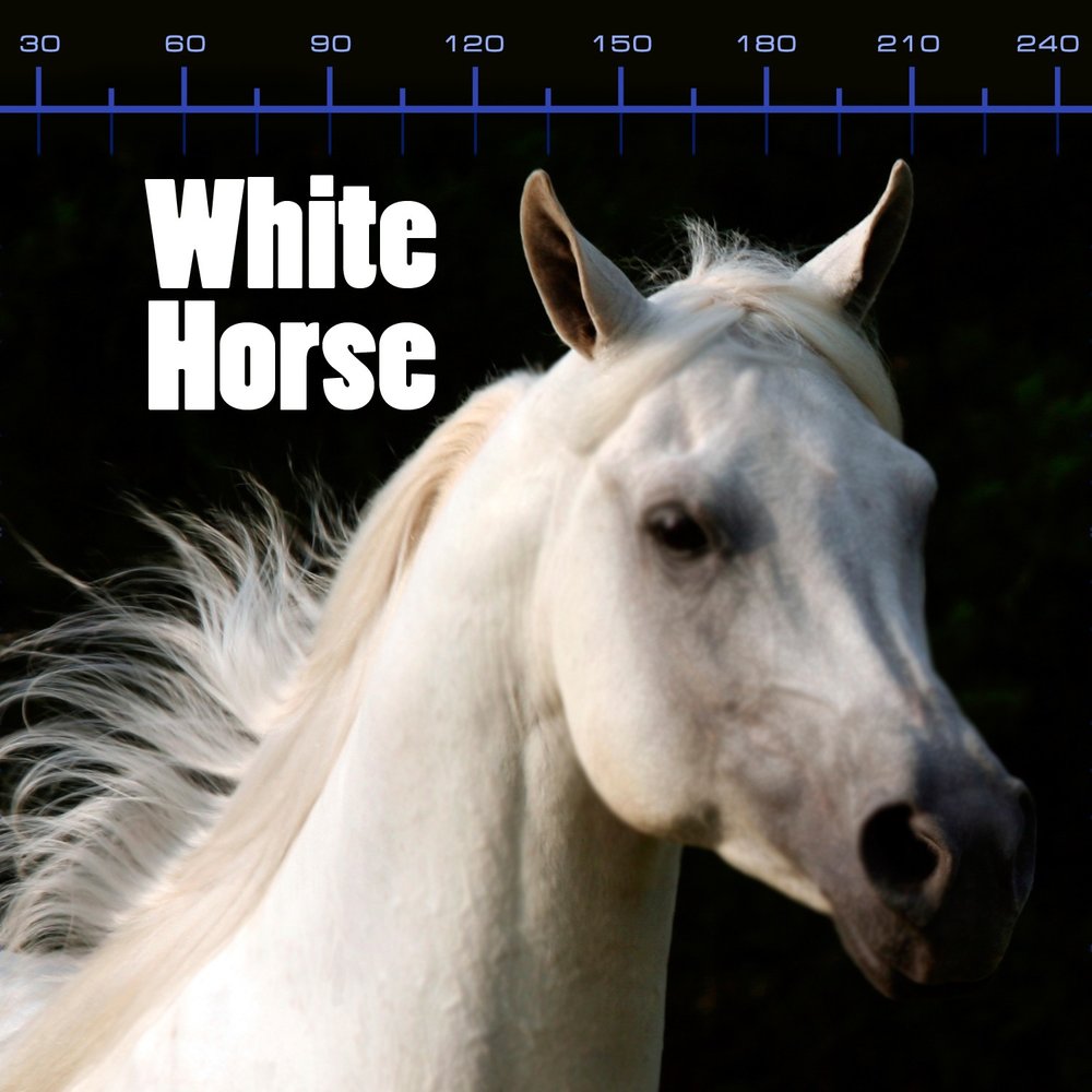 Музыка horses. Laid back White Horse. Белая лошадь скорость. Альбом с белой лошадью. Белые лошади песня.