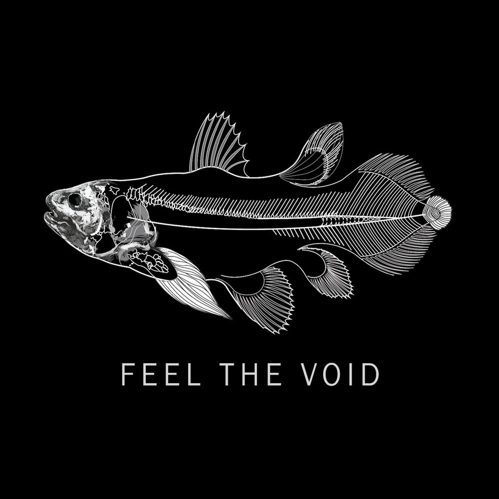 Feel the void