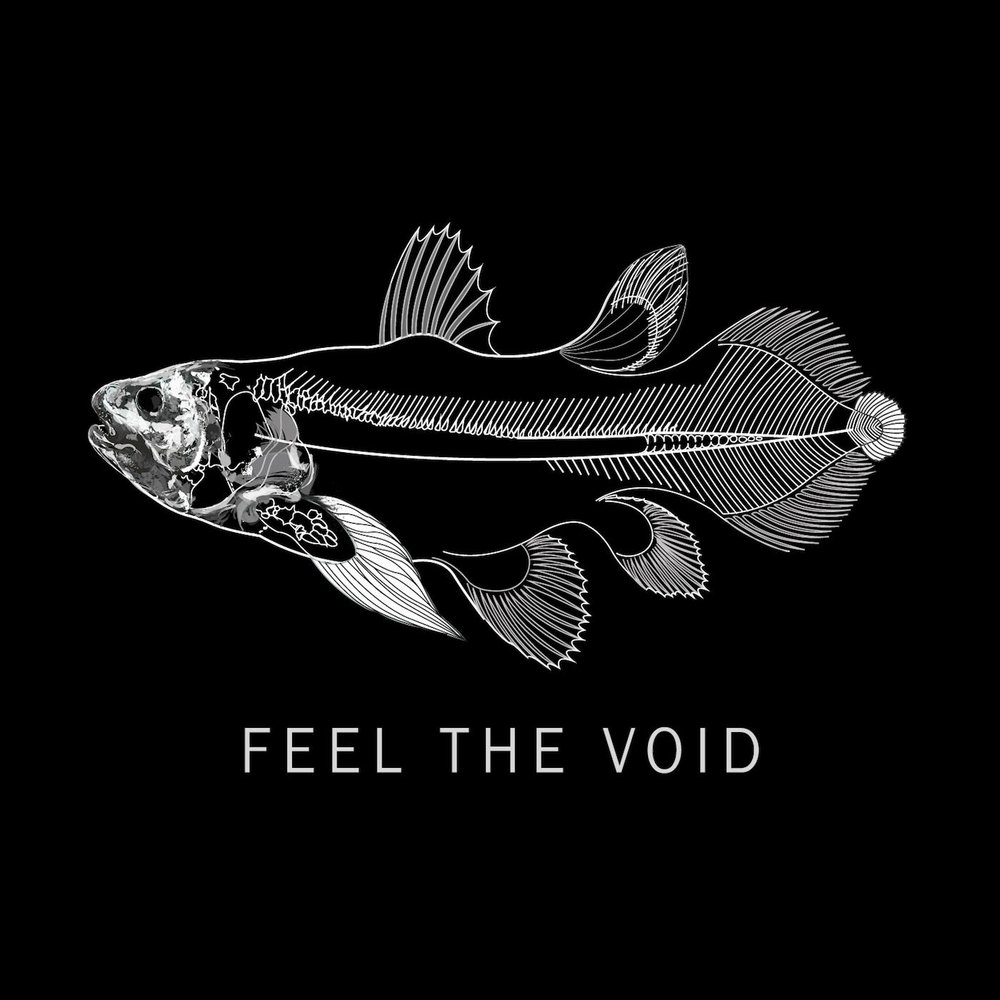 Feel the Void the weekend. Hot Water m Music feel the Void.