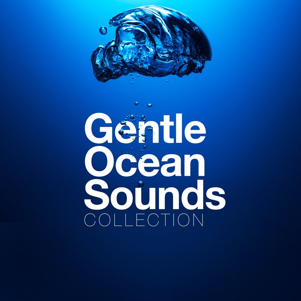 Sound collection. Audiophile sound. Sound collection. Sound collector. Sound collection.