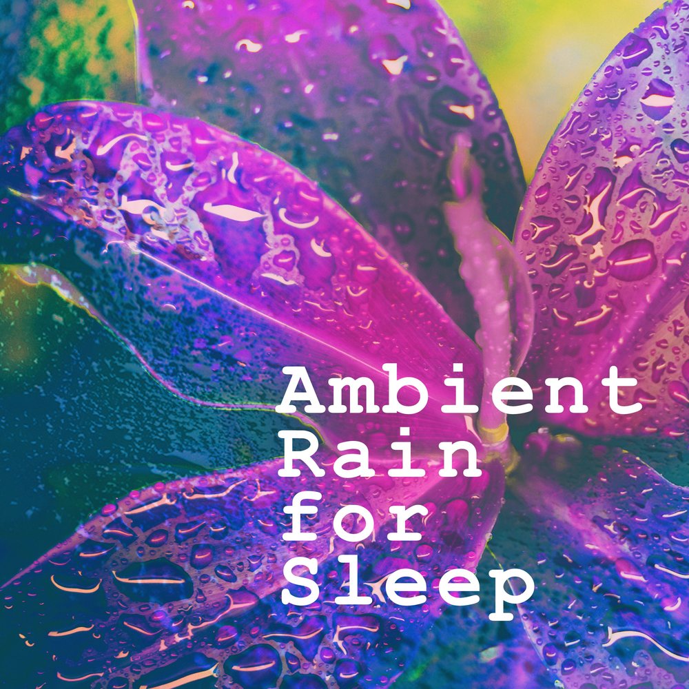 Rain ambience. Ambience Sound.