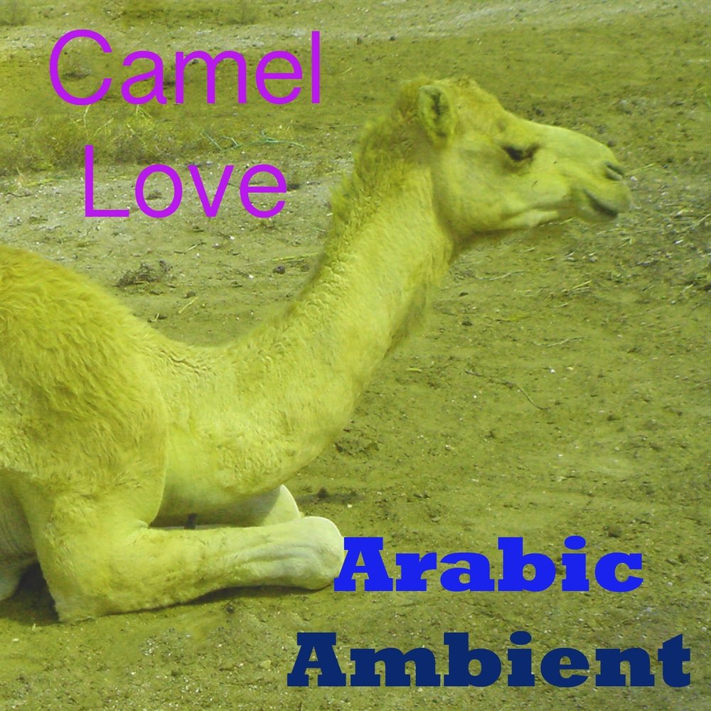 Верблюды любовь. Camel by Camel песня. Песня про верблюда. Камел би Камел песня.