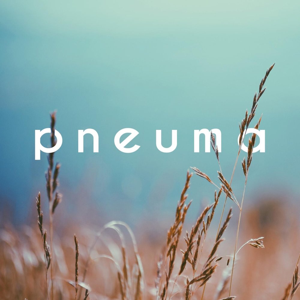 Matter песня. Field слушать. Martin kohlstedt feld album cover. Field слушать. Field слушать.