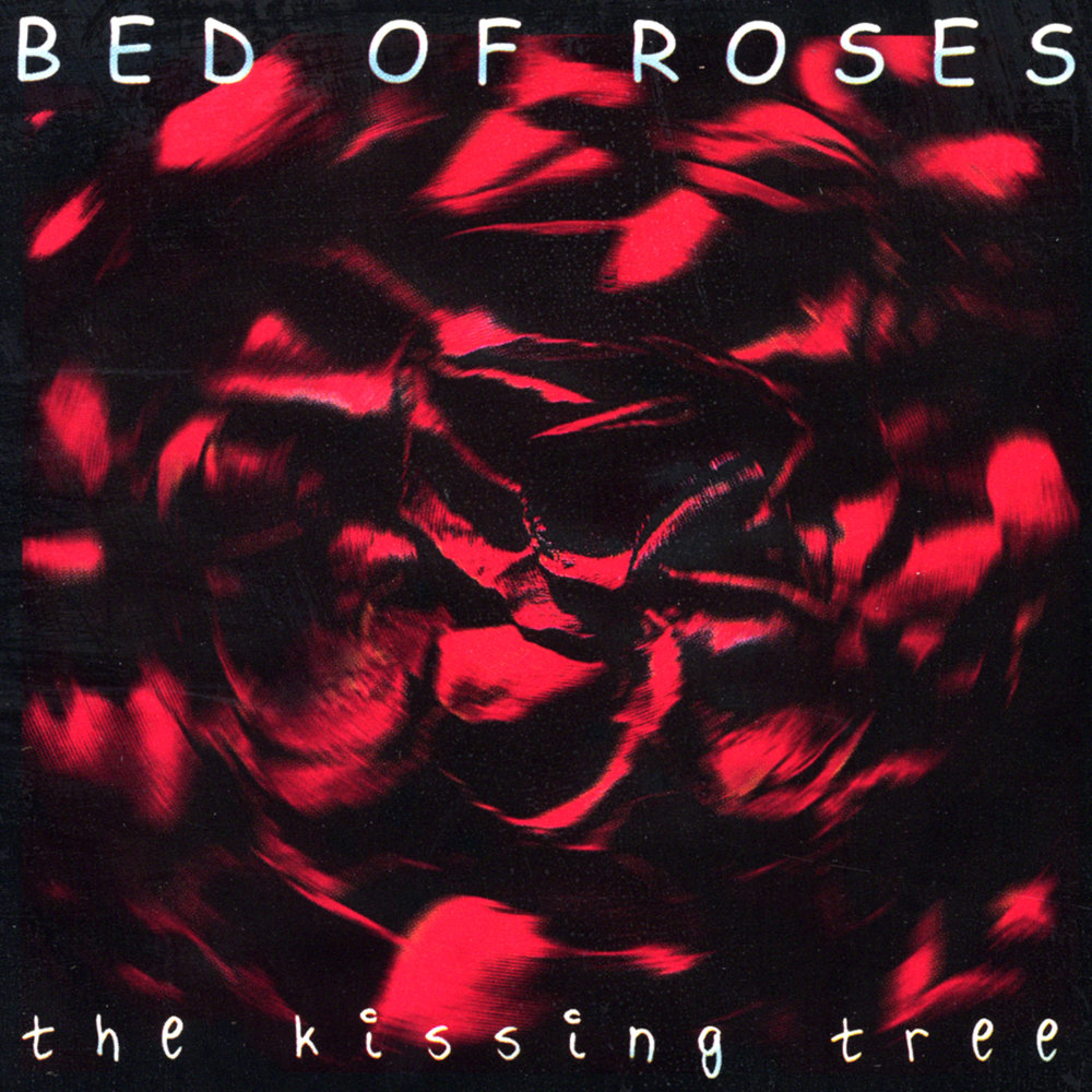 Bed of roses. Bed of Roses 1998. 2003 - Ghost of a Rose. Bed of Roses MSI альбом. If only 1992 no Bed of Roses.